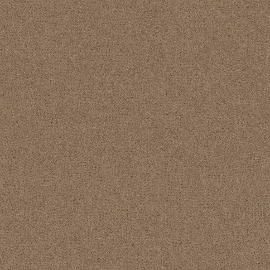 Shaw Floors Mainstay - Raw Wood