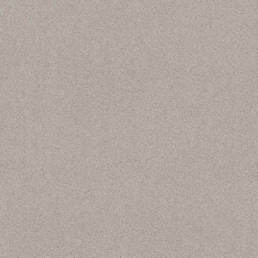 Shaw Floors Secret Adventure - Beige Mist