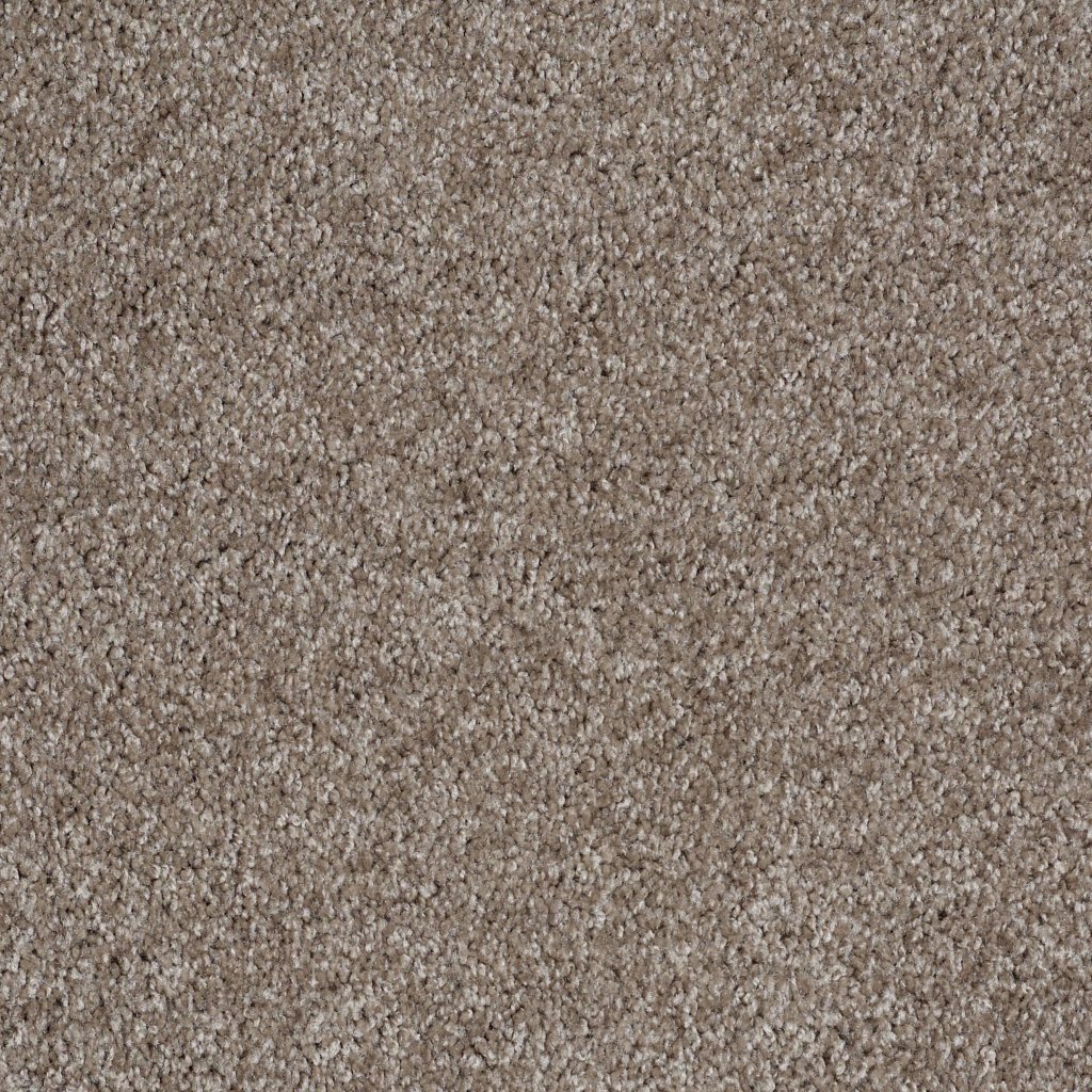 Shaw Floors Make It Yours (S) - Driftwood Solid