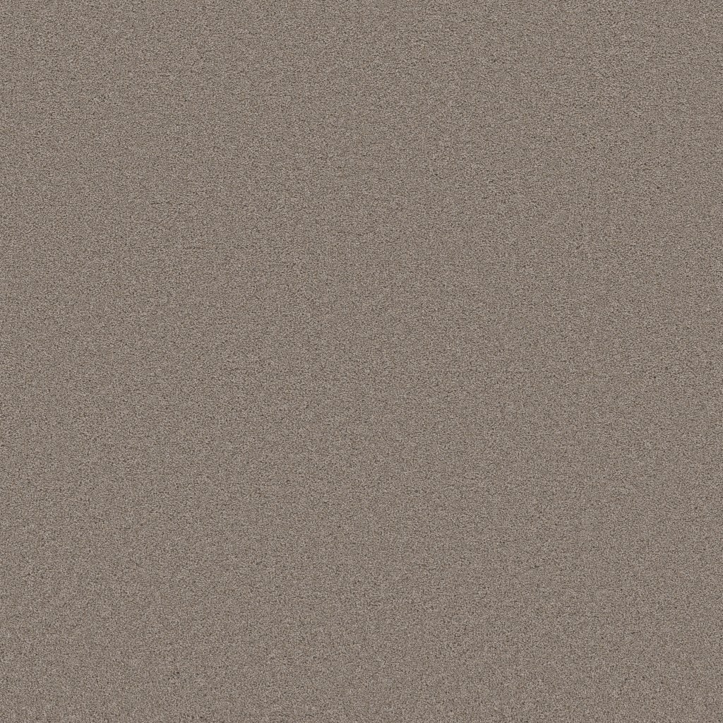 Shaw Floors Blended Touch II - Mocha