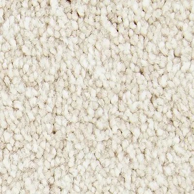 Mohawk Memorable View - Balsam Beige