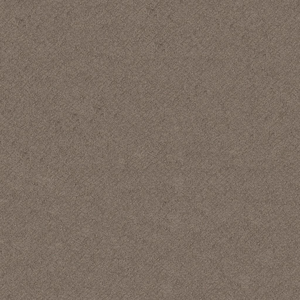 Shaw Floors Chic Shades - Ridgeview