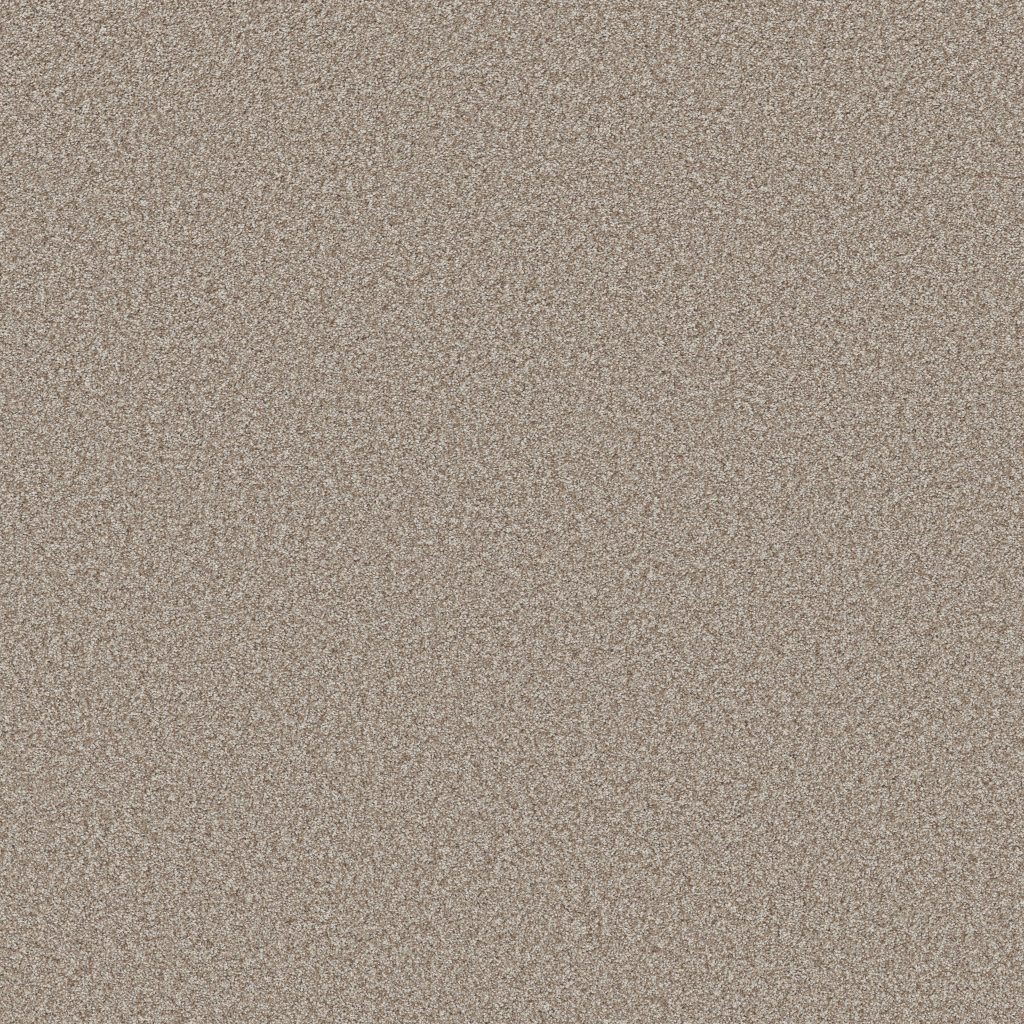 Shaw Floors Artistic Fusion II - Soft Sense
