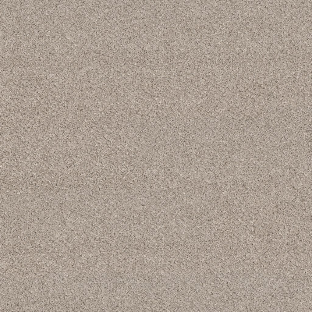 Shaw Floors Chic Shades - Fossil Path