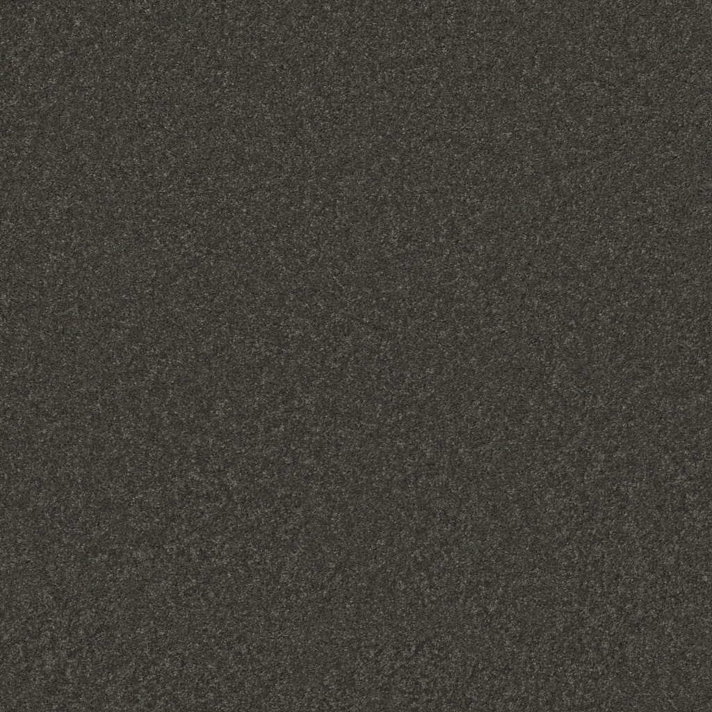 Shaw Floors Well Played II 15' - Charcoal