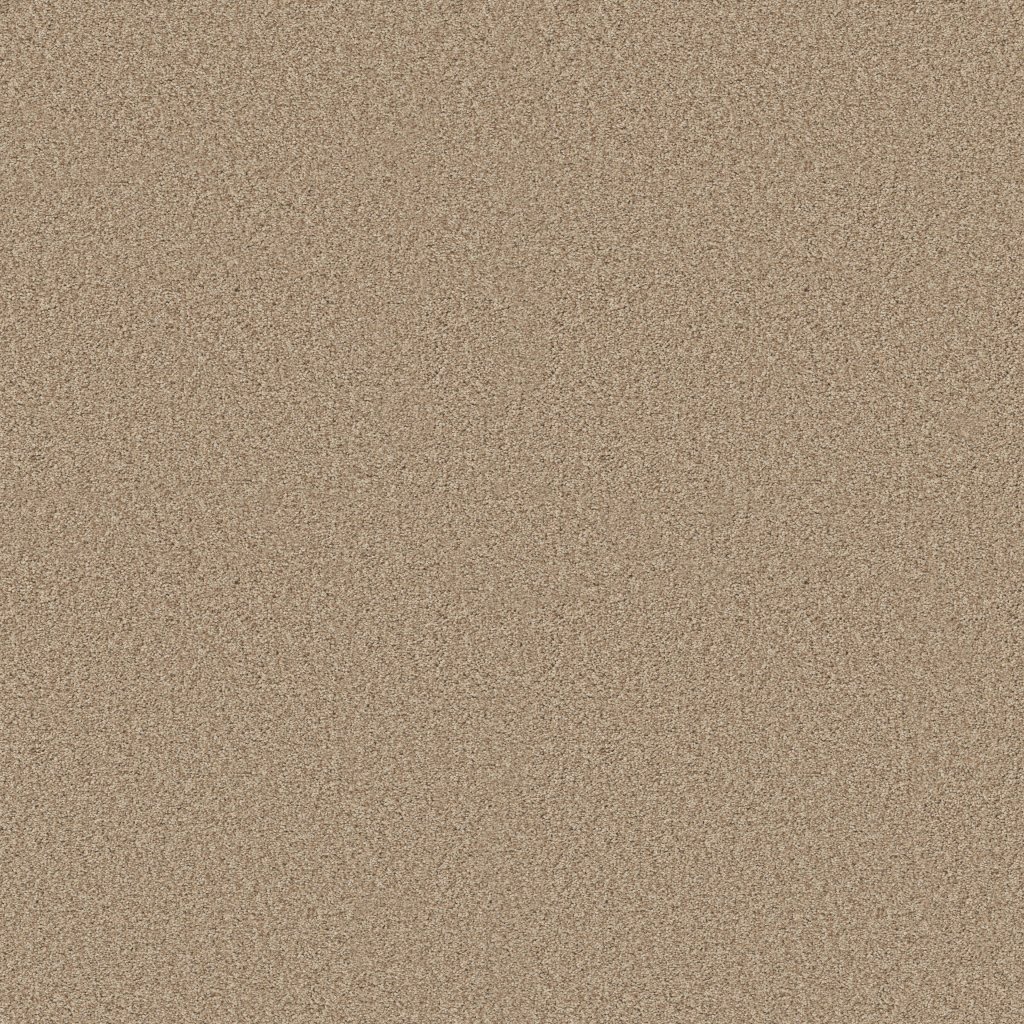 Shaw Floors Tonal Comfort I - Homemade Ice Cream