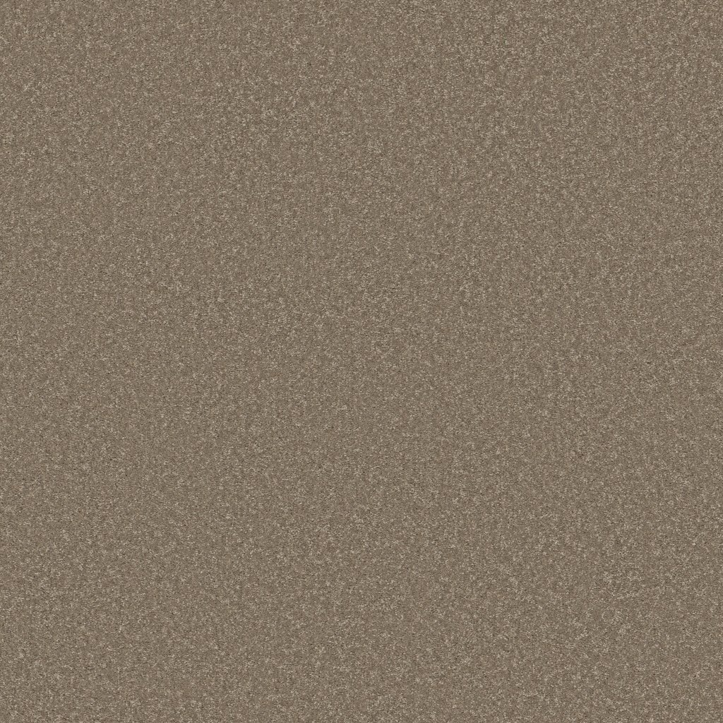 Shaw Floors Way To Go III - Chic Taupe