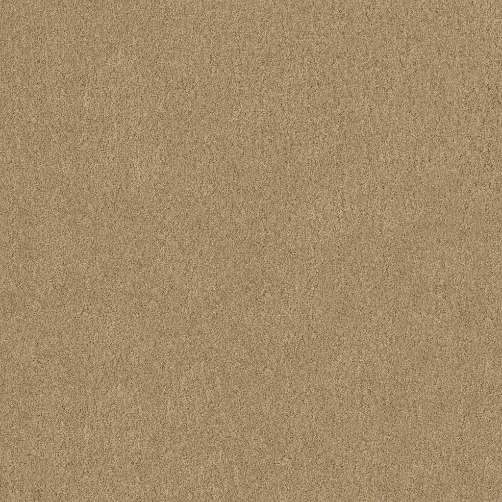 Shaw Floors Salina I - Macadamia