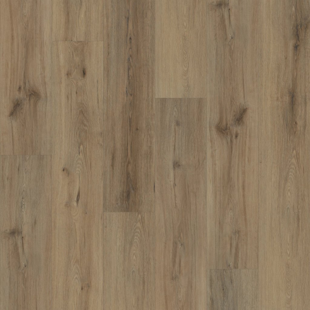 Shaw Floors Paladin Plus - Wild Dunes