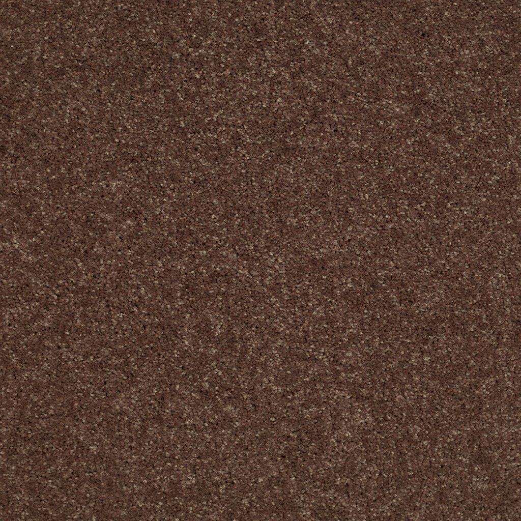 Shaw Floors Well Played II 12 - Briar Patch