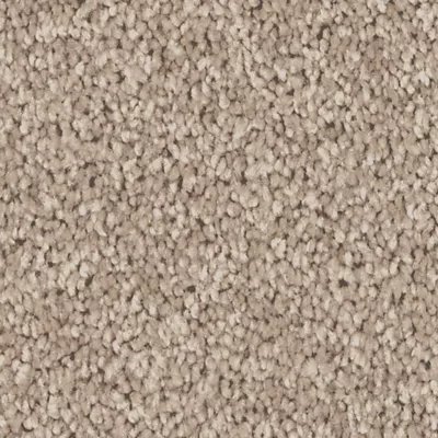 Mohawk Exceptional Choice - Montego