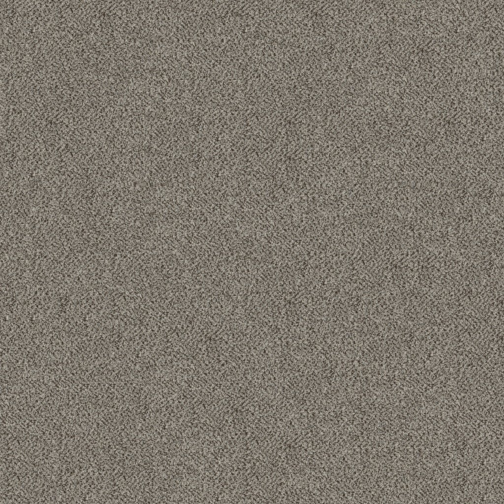 Shaw Floors Truspirit I - Iron Works