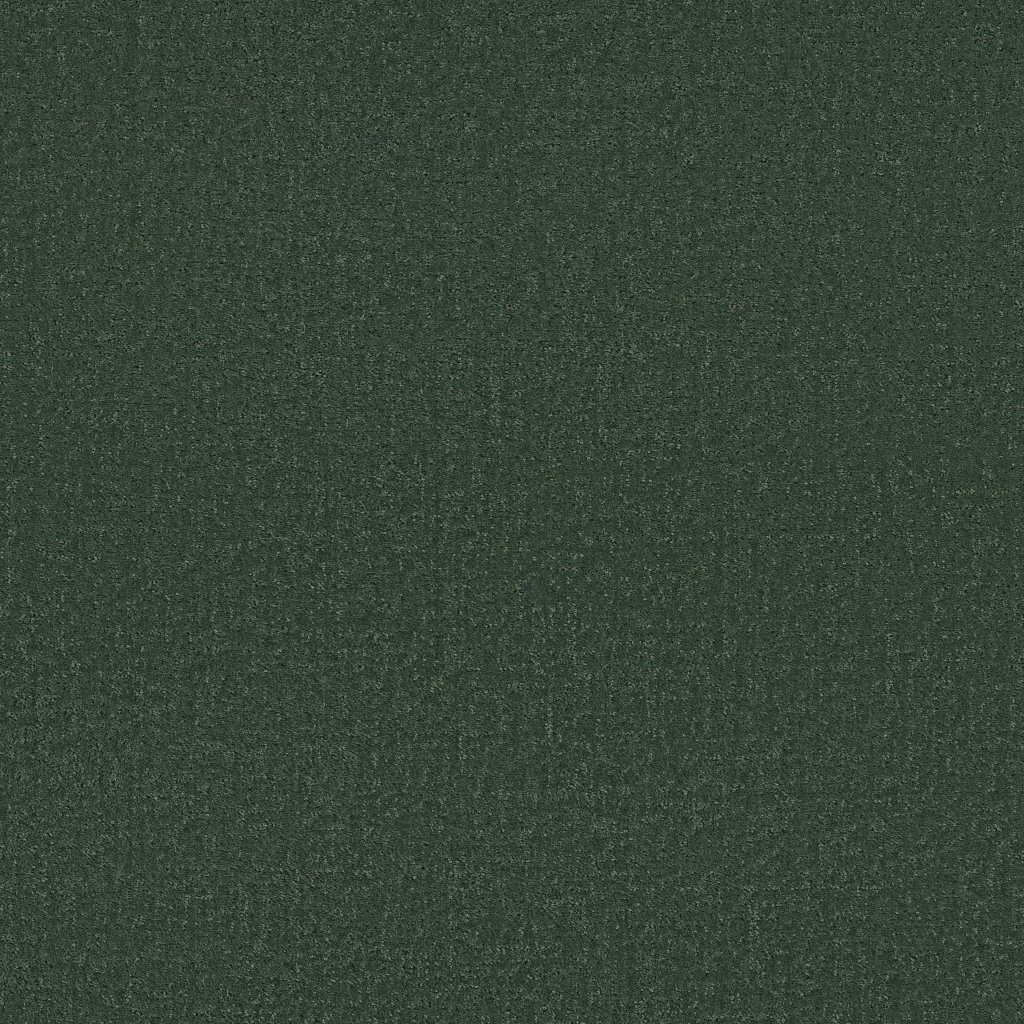 Shaw Floors Canvas Comfort Blue - Magnolia Branch