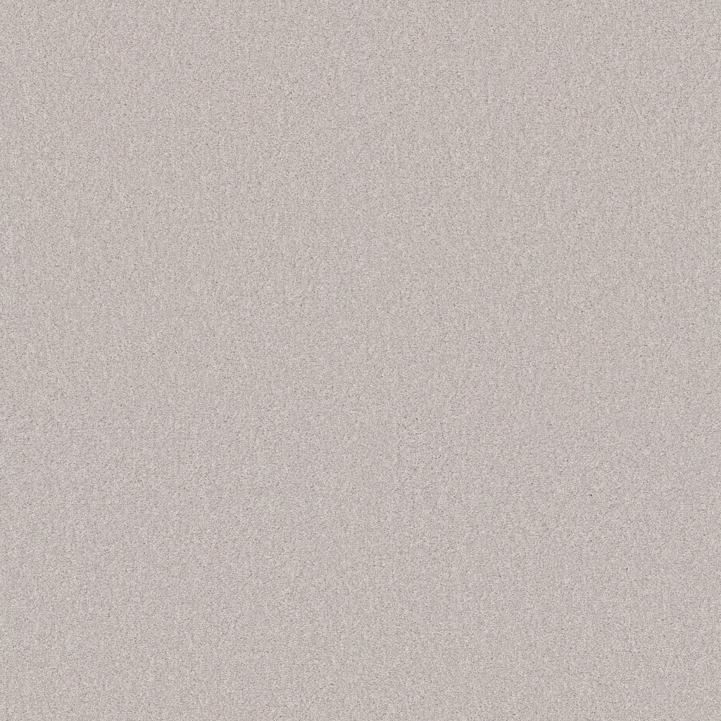 Shaw Floors Your Comfort II - Whitewashed Frame