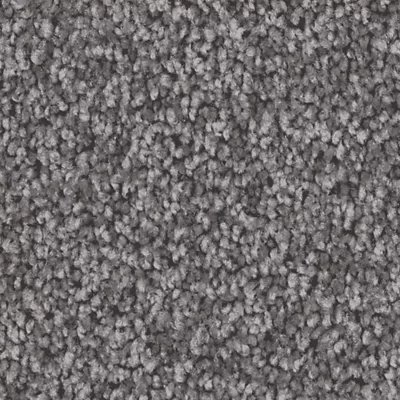Mohawk Exceptional Choice - Alden Charcoal