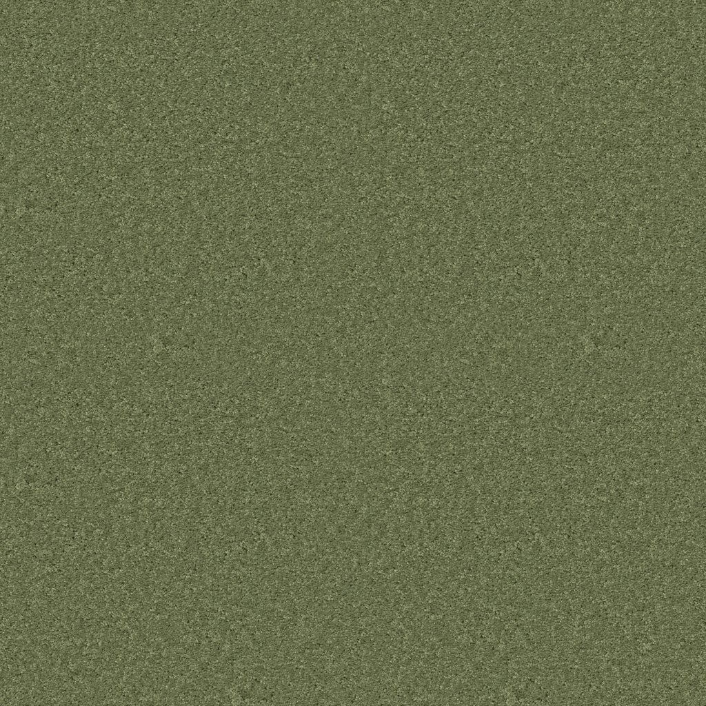 Shaw Floors Essay II 15' - Sheer Ecru