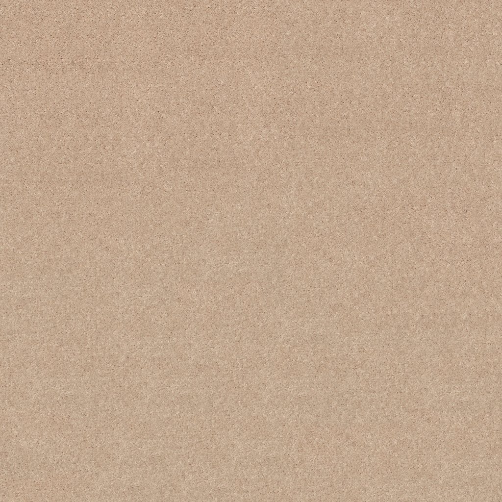 Shaw Floors Sun Valley 12 - Marble