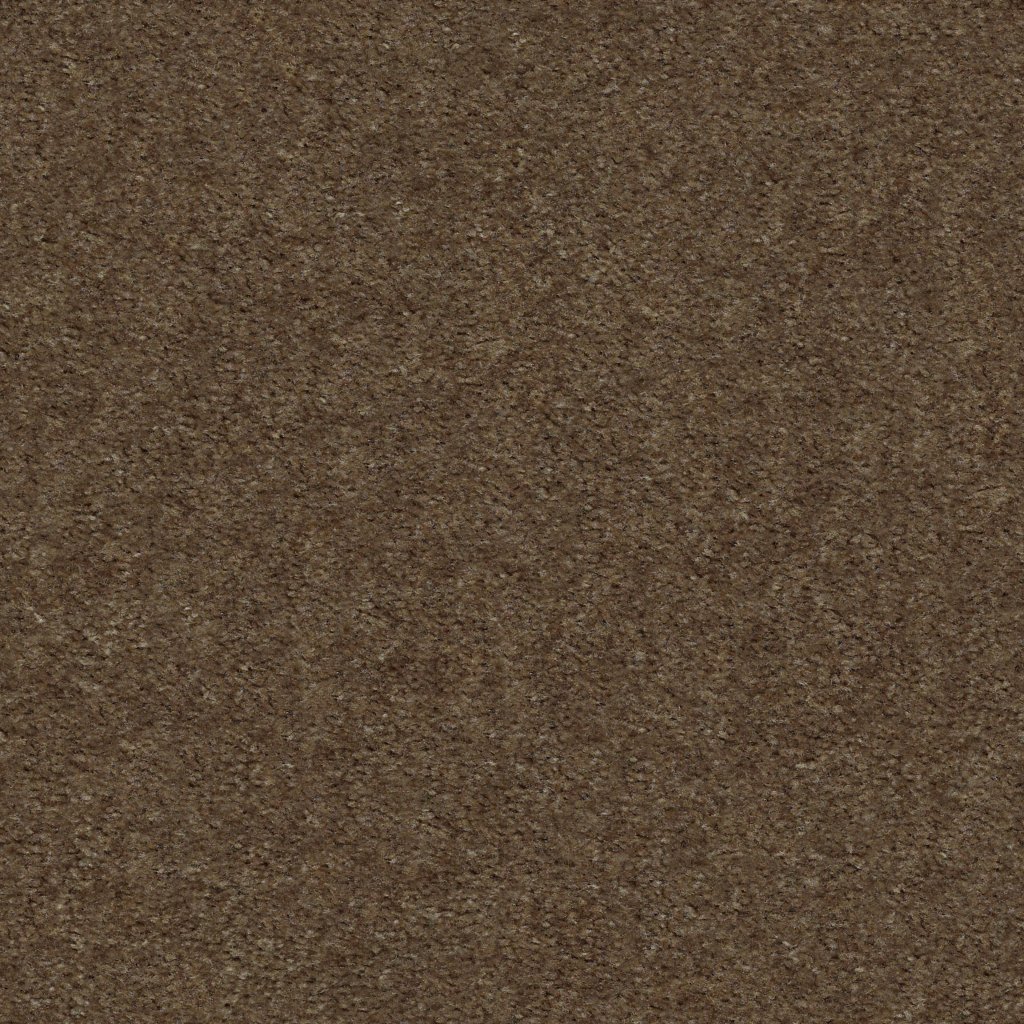 Shaw Floors Heroic - Toffee