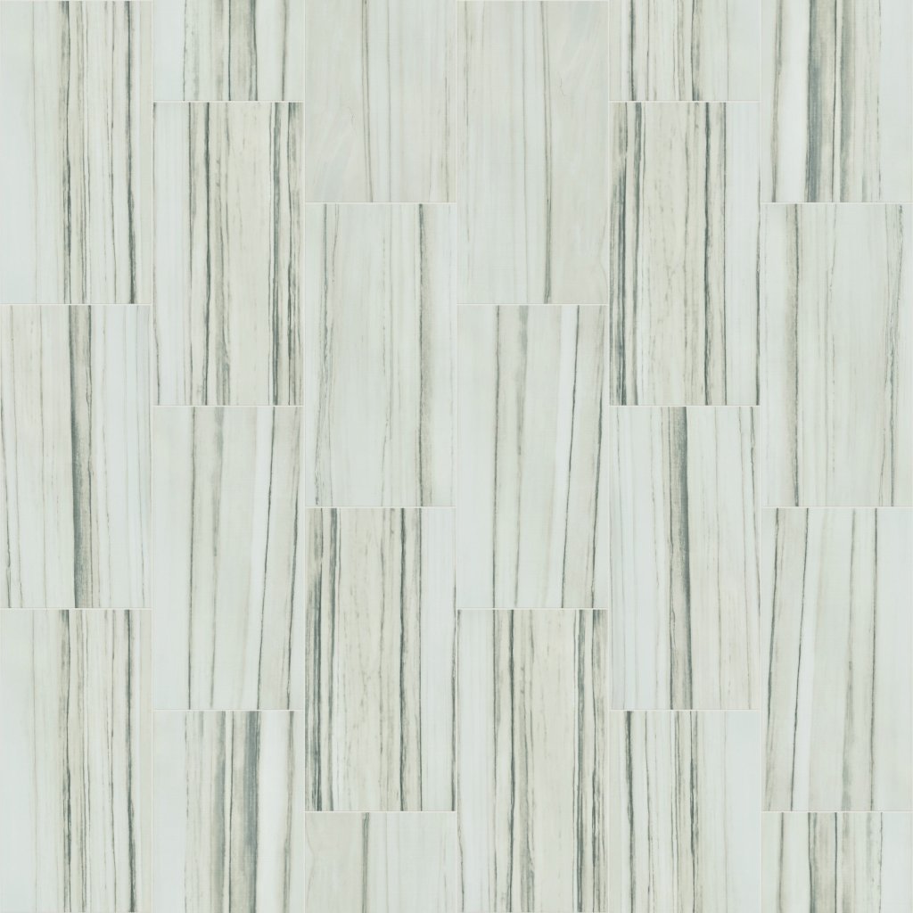 Shaw Floors VISION 12X24 MATTE - Zebrino
