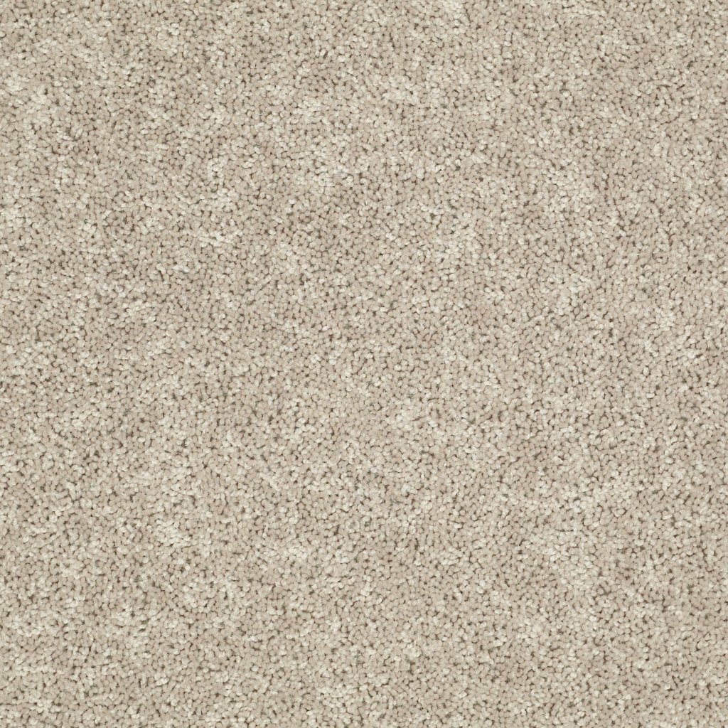 Shaw Floors Tactical - Hearth