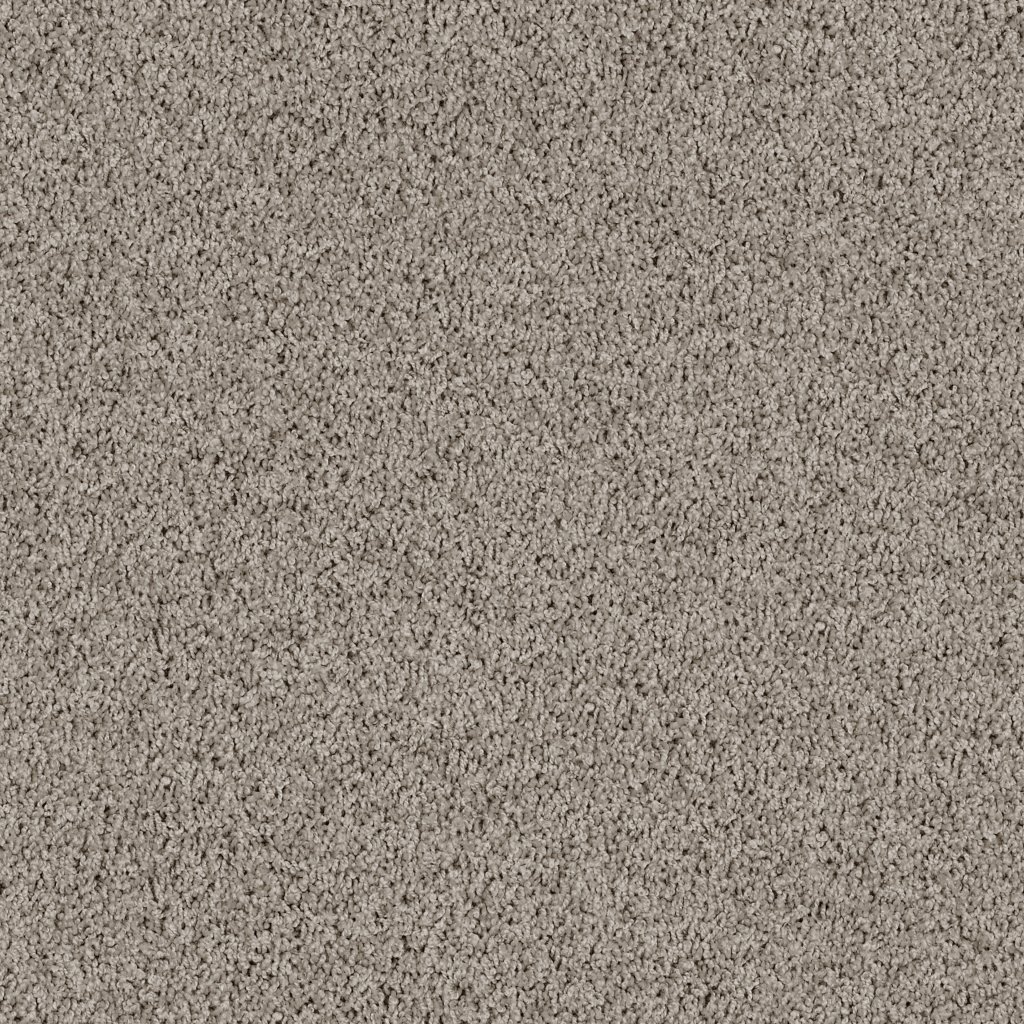 Shaw Floors Weatherford - Dovetail