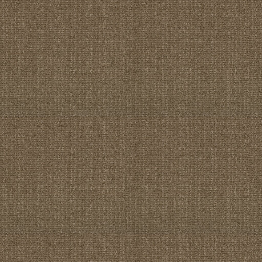 Shaw Floors Sensible Now - Summerville