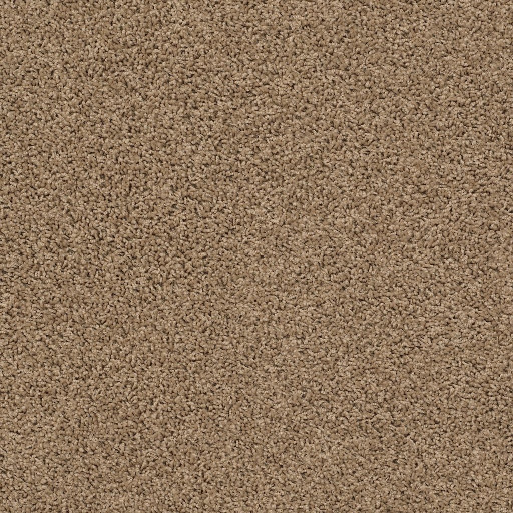 Shaw Floors Del Morro - Rocky Ridge