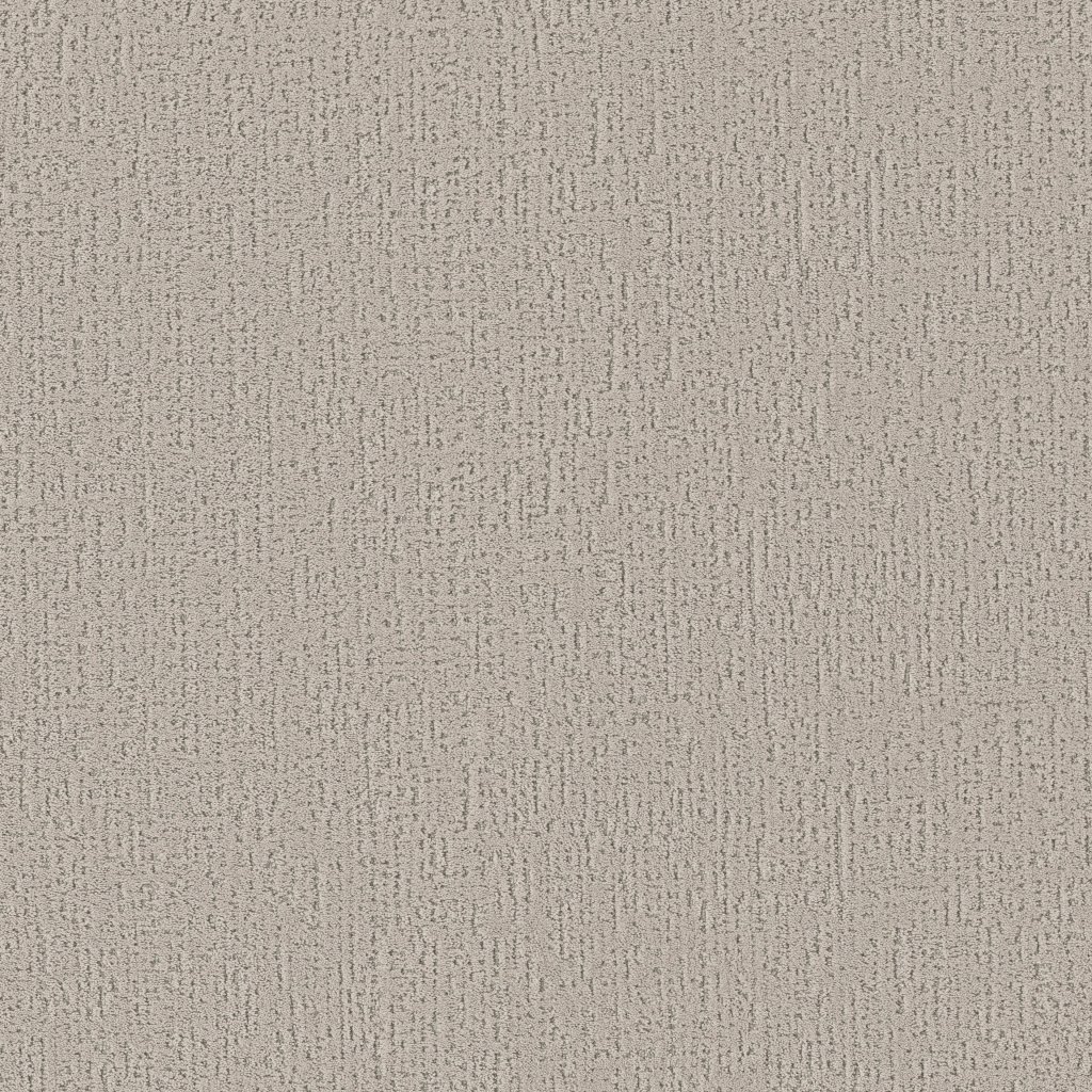 Shaw Floors Curated Tone - Cool Winter