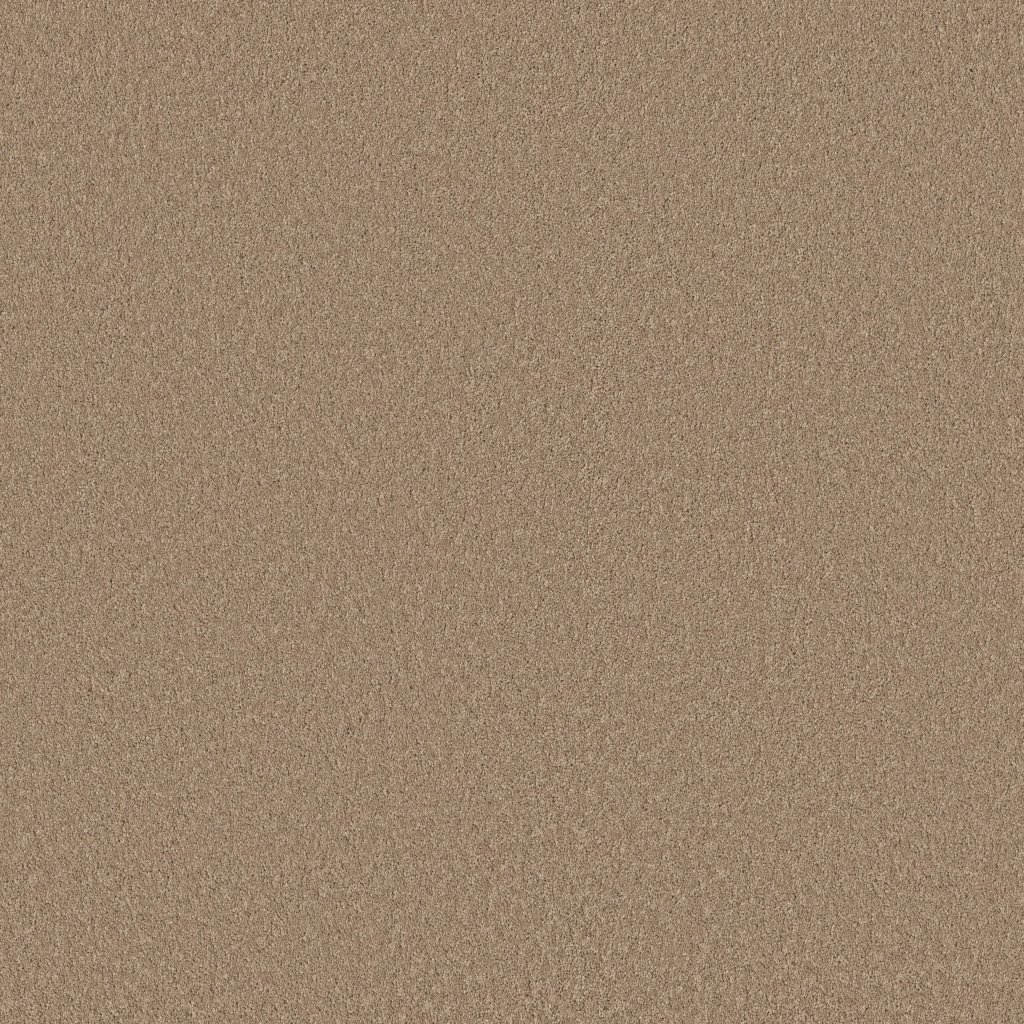 Shaw Floors Velvet Touch II - Canoe