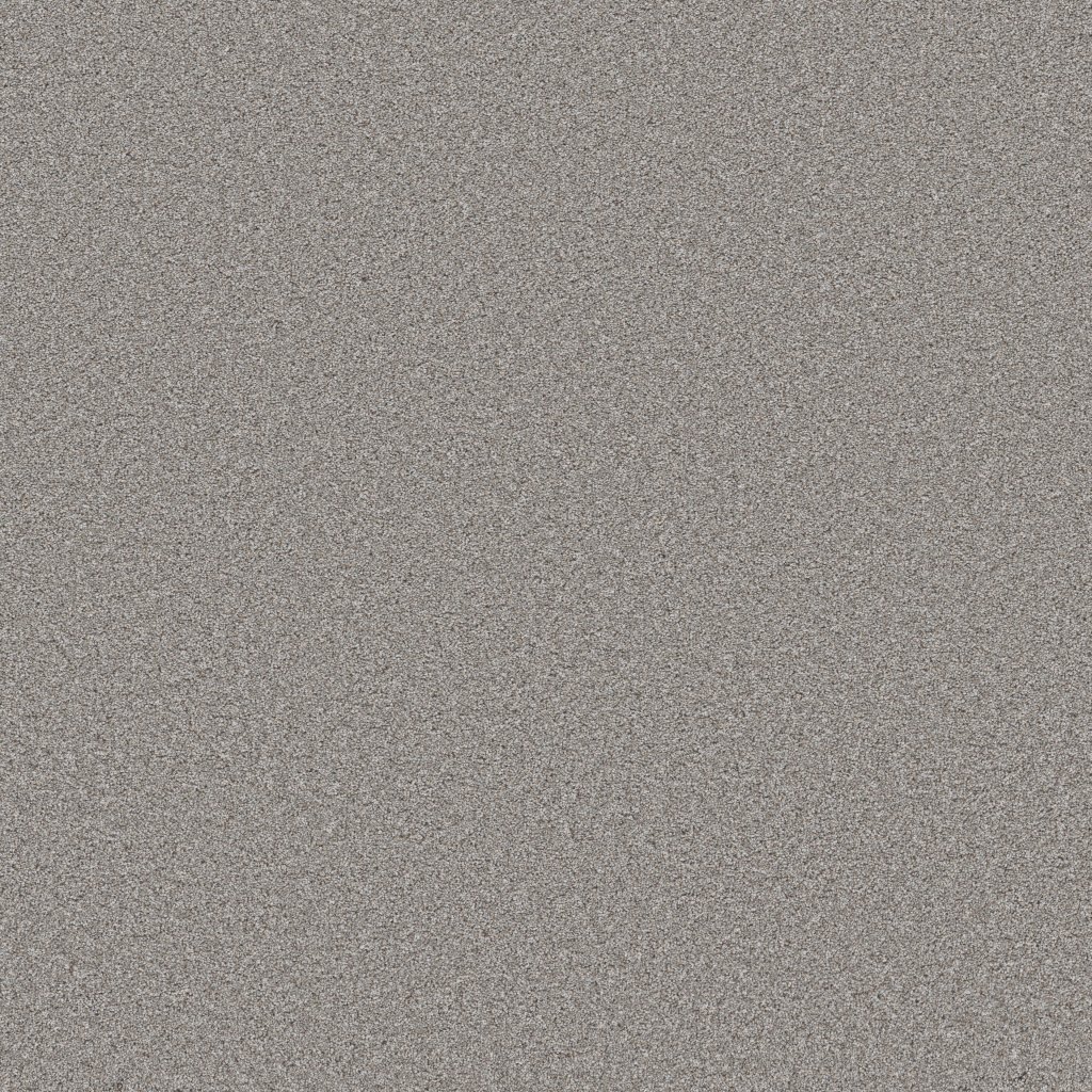 Shaw Floors Wonderland III 12' - Greige