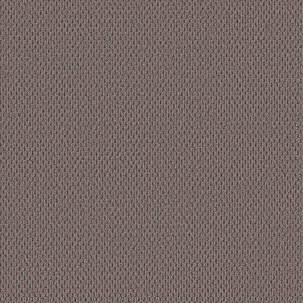 Shaw Floors Perspective Path - Cappuccino