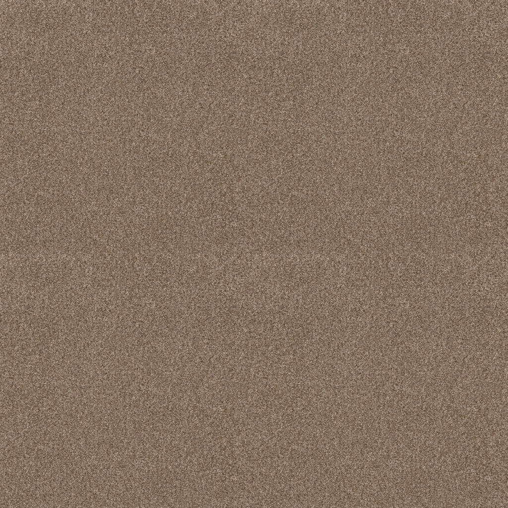 Shaw Floors Tonal Comfort I - Camping Trip