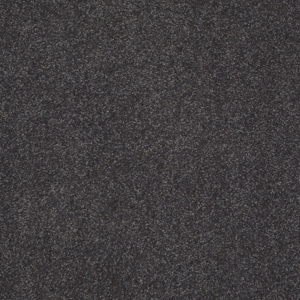 Shaw Floors Shingle Creek IV 12' - Dutch Boy