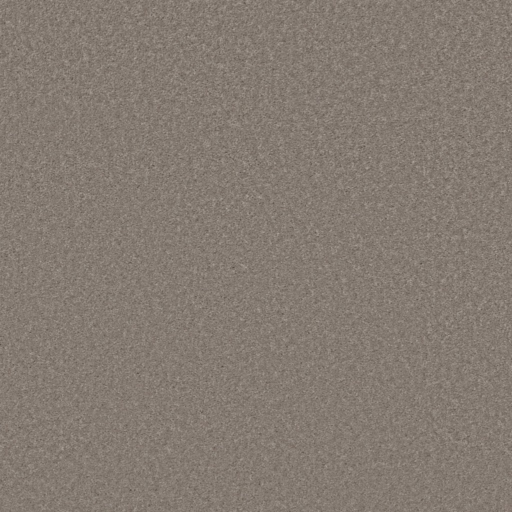 Shaw Floors Well Made - Mocha Frost