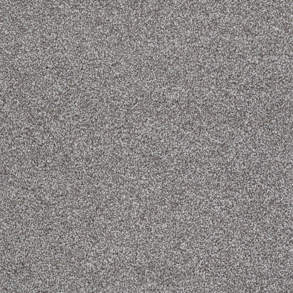 Shaw Floors Always Ready I - Washed Gray