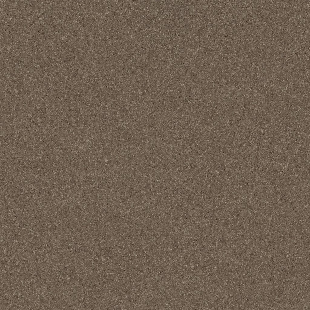 Shaw Floors Newbern Classic 15' - Suede