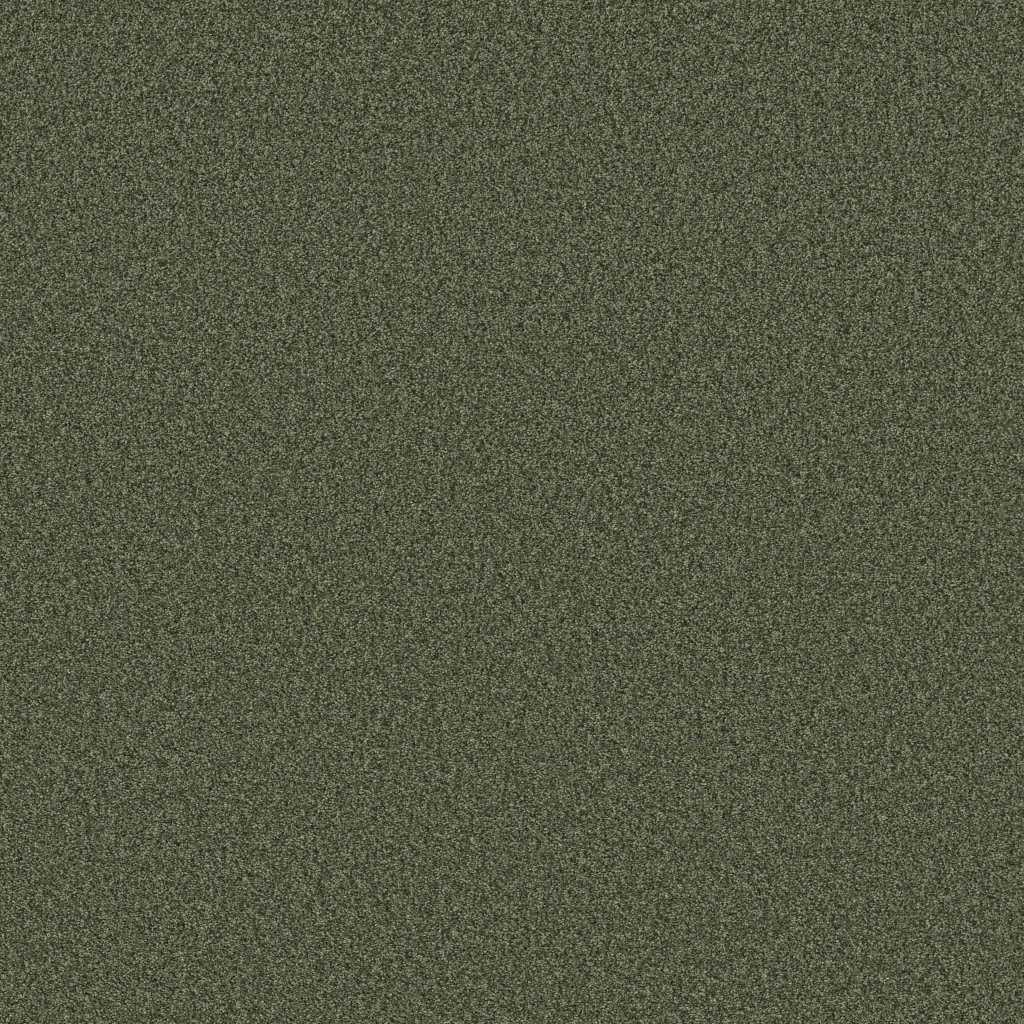 Shaw Floors Tonal Comfort II - Olive Grove