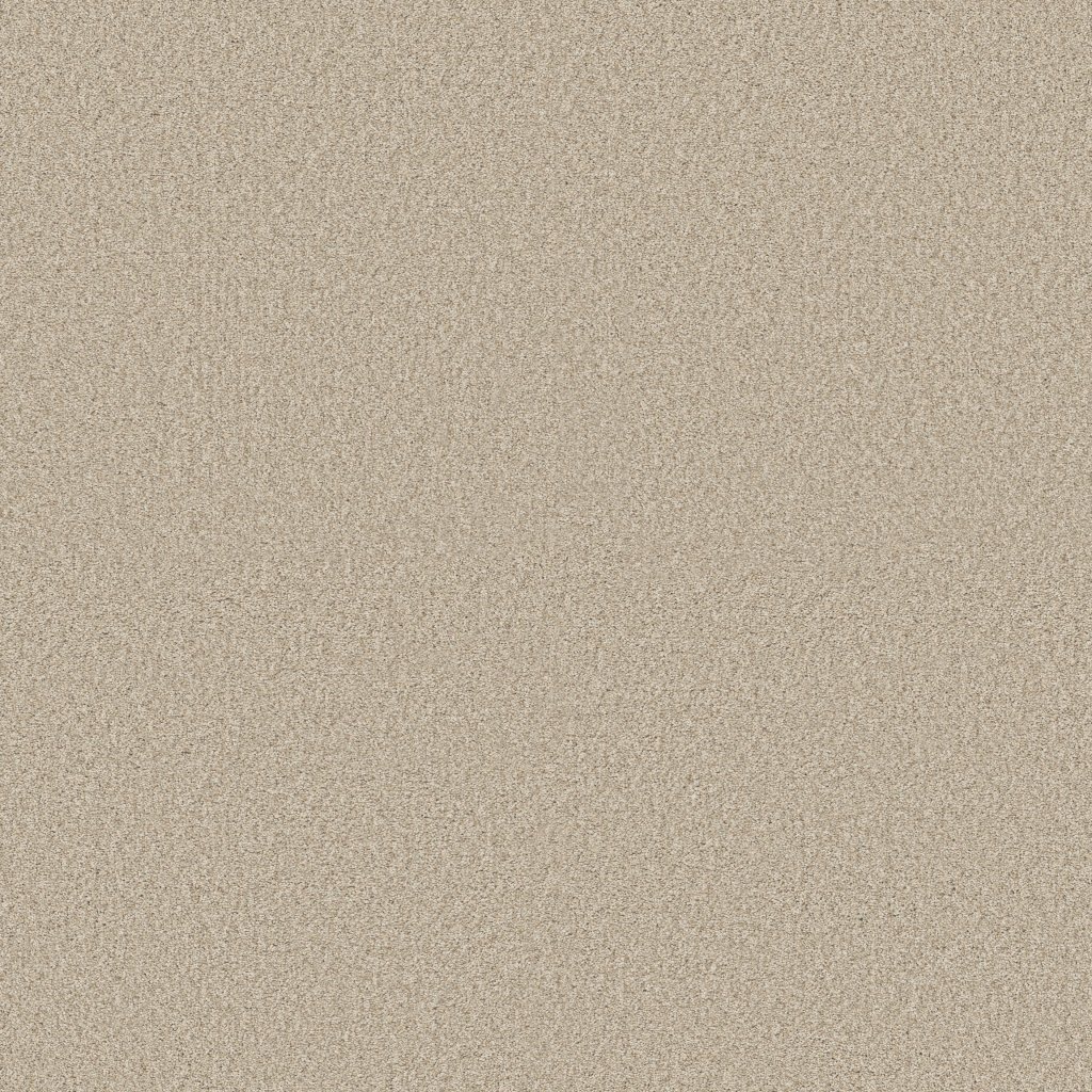 Shaw Floors Tonal Comfort II - Life Of The Party