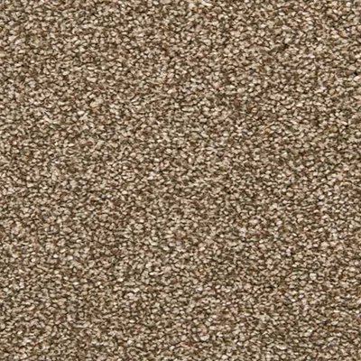 Mohawk Positive View II - Spice Cake