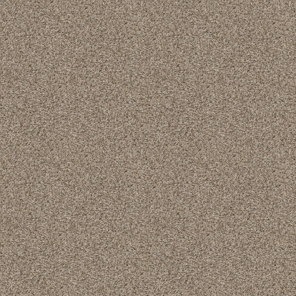 Shaw Floors See Me - Sand Swept