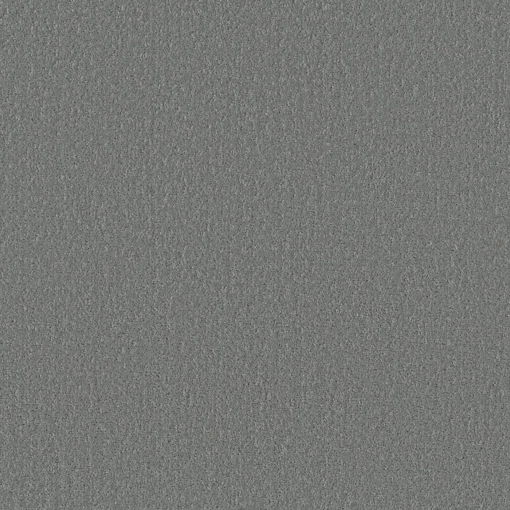 Shaw Floors Canvas Comfort - Dolphin Sighting