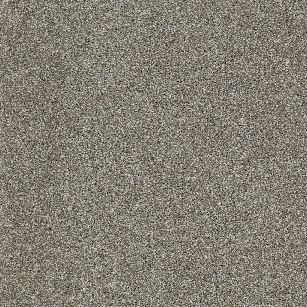 Shaw Floors Sun Drenched - Pewter