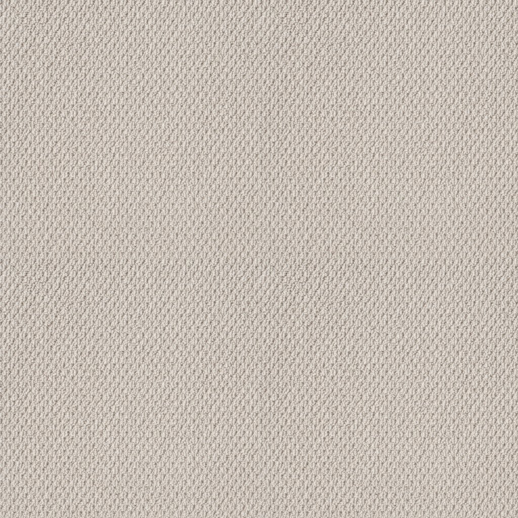 Shaw Floors Naturalistic - Winters Dawn