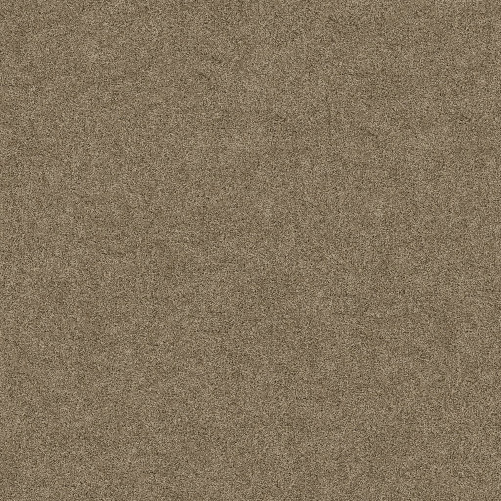 Shaw Floors Origins Ii - Briar