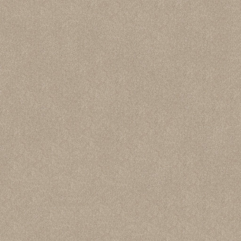 Shaw Floors WELL GROUNDED I 12 - Dreamy