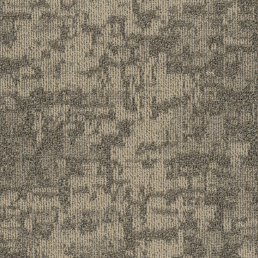 Philadelphia Commercial Arid - Butte