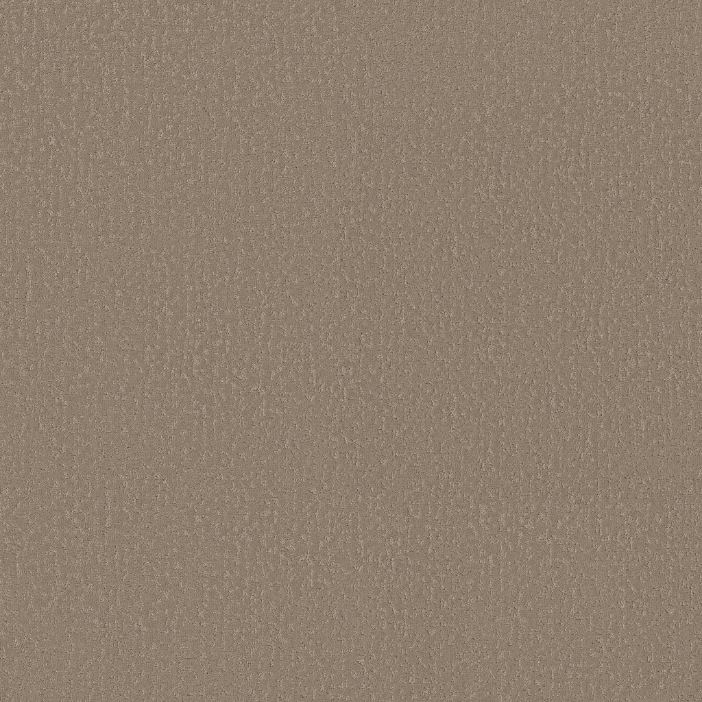 Shaw Floors Crafted Tone - Latte
