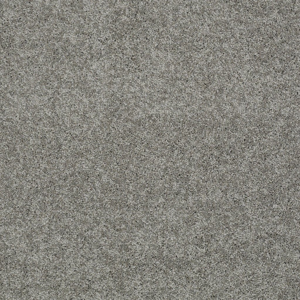 Shaw Floors Inspired By Ii - Fog