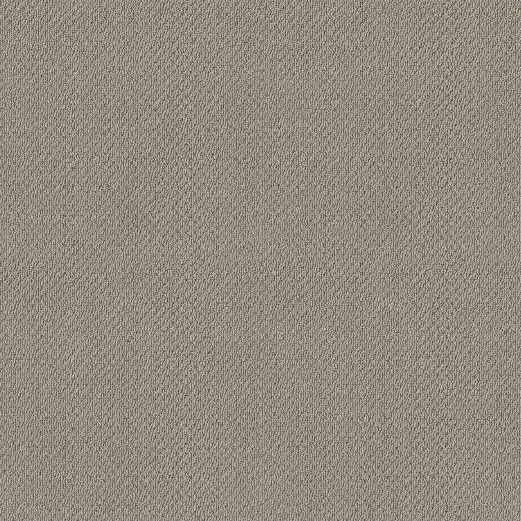 Shaw Floors Artist View Loop - Ash