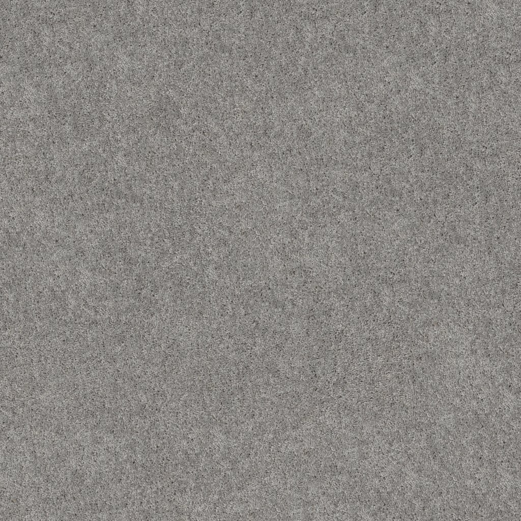 Shaw Floors Hot Topic - Dolphin
